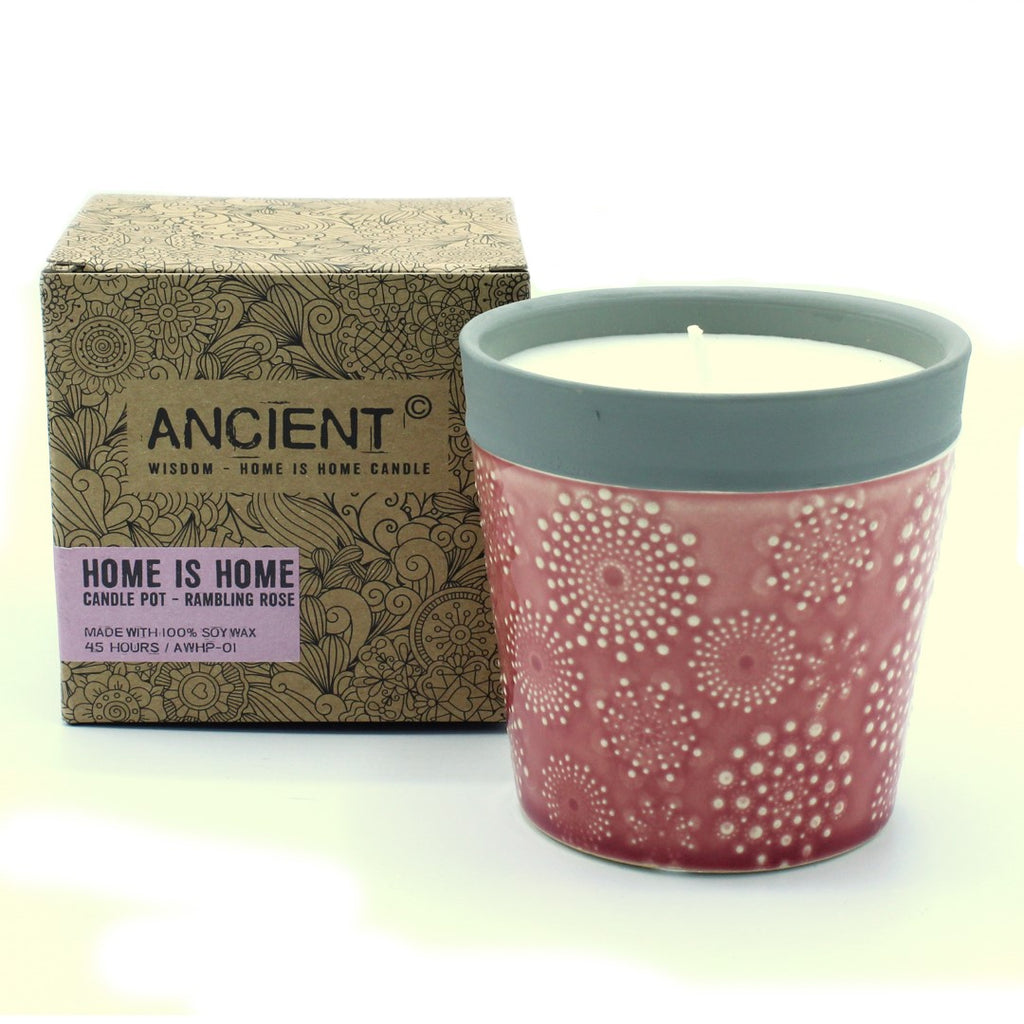 Soy wax aromatherapy candle-flower pots